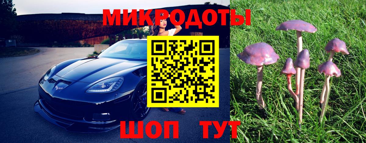 Галлюциногенные грибы Psilocybine cubensis  наркошоп  Томск  Вход с VPN 